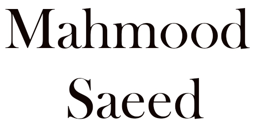 محمود سعيد