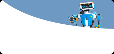 Electronic Toys