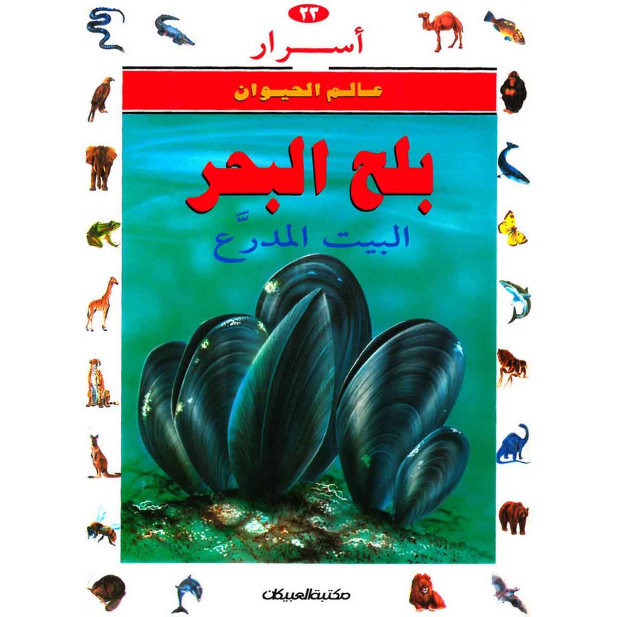 أسرار عالم الحيوان 23 بلح البحر