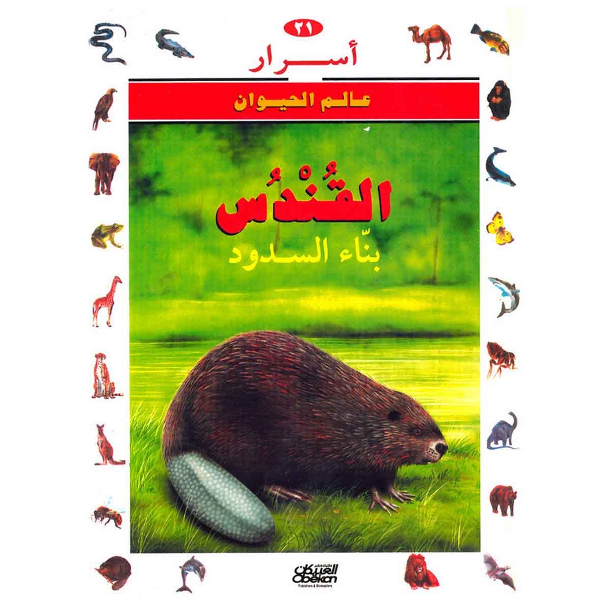 أسرار عالم الحيوان 21 القندس