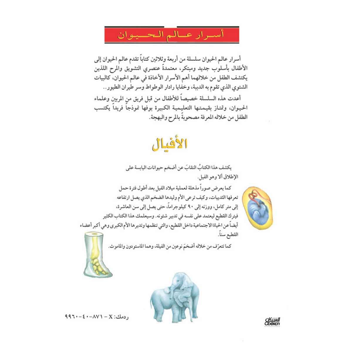 أسرار عالم الحيوان 2 الأفيال