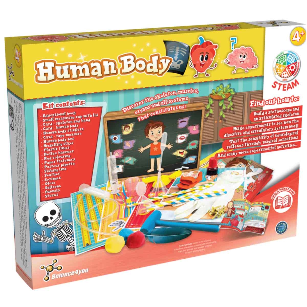 ساينس فور يو مجموعة جسم الإنسان التعليمية للأطفال من عمر 5 إلى 7 سنوات