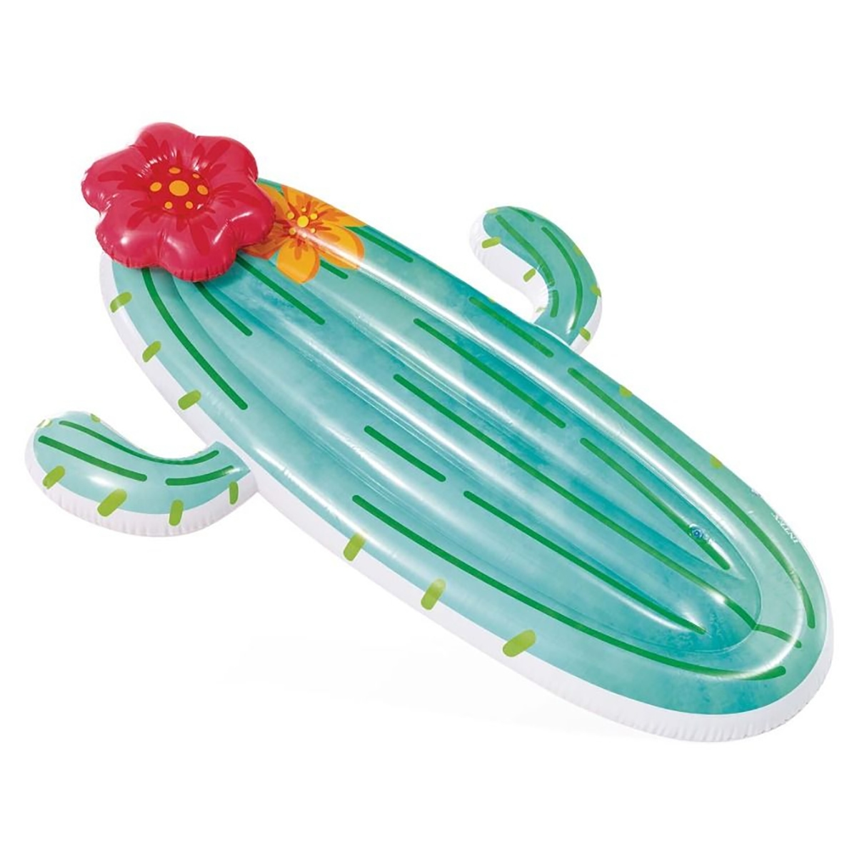 Intex Cactus Pool Float Unisex