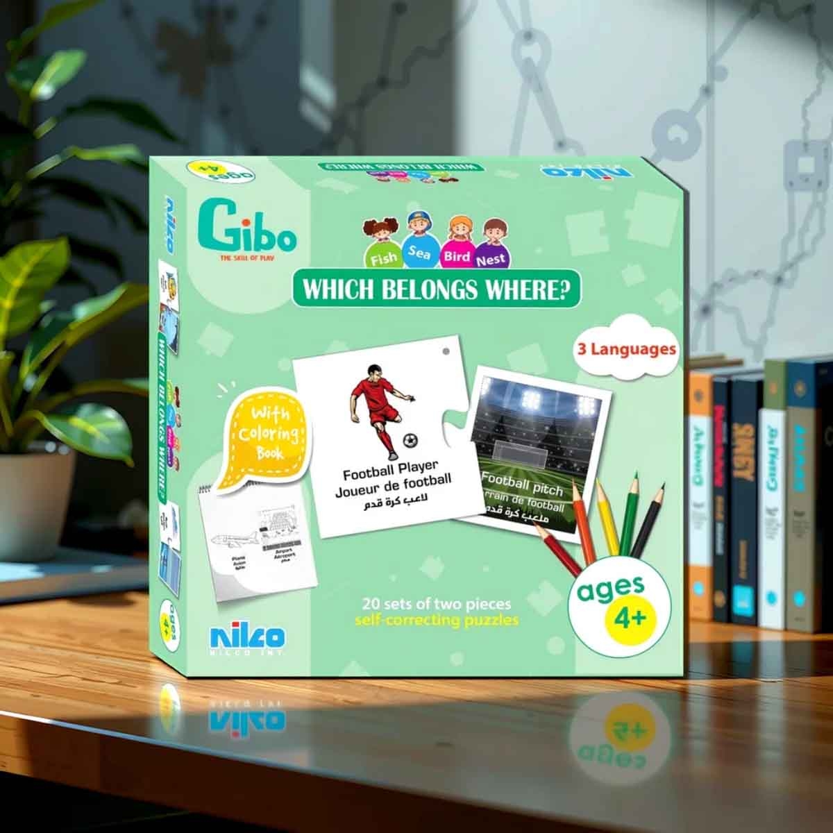 جيبو لعبة تعليمية: ما الذي ينتمي إلى أين للأطفال من عمر 5 إلى 7 سنوات