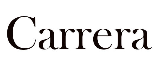 Carrera Revel