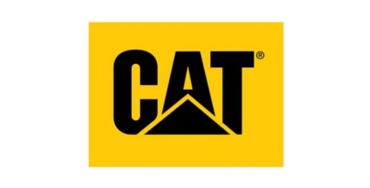 Cat Toys