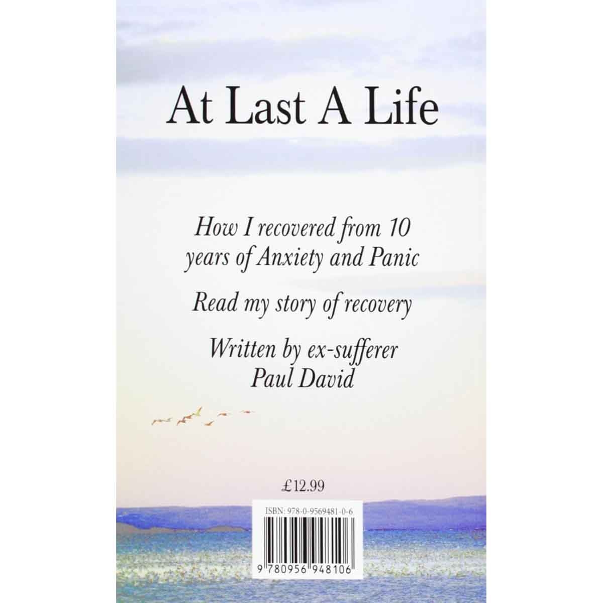 At Last a Life by Paul David - 2006