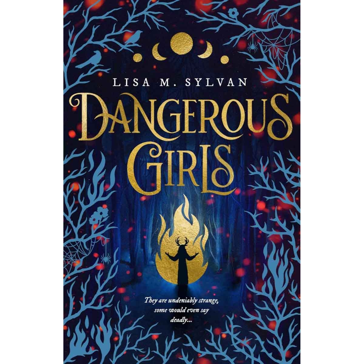 Dangerous Girls by Lisa M. Sylvan - 11-09-2025