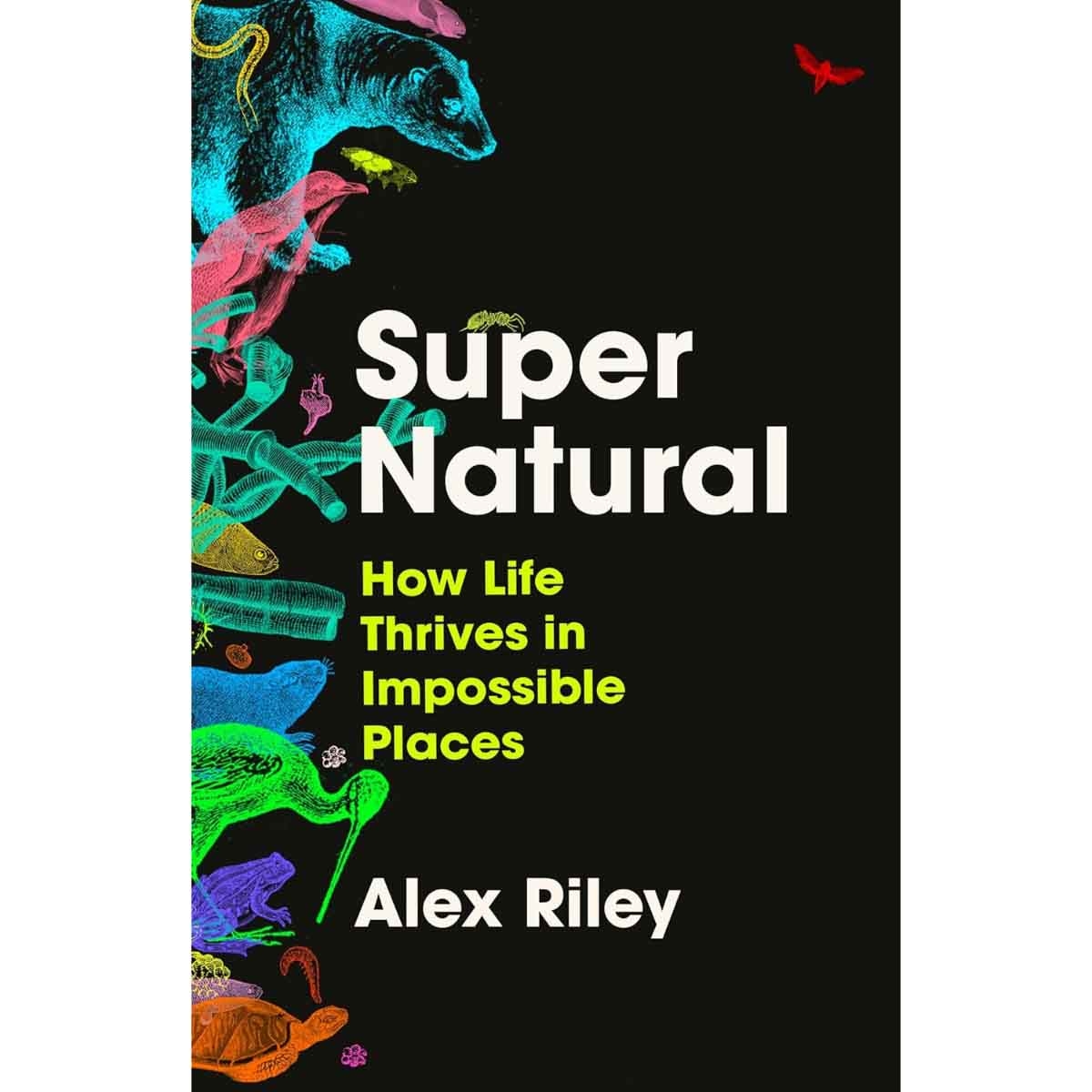 Super Natural by Alex Riley - 2025-06