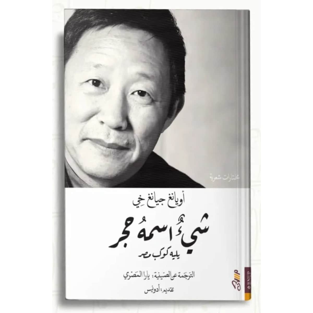 شيء اسمه حجر (يليه كوكب مصر)
