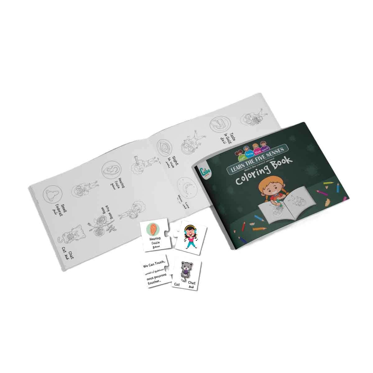 Gibo Learn The 5 Senses Learning Game Unisex, 5-7 Years