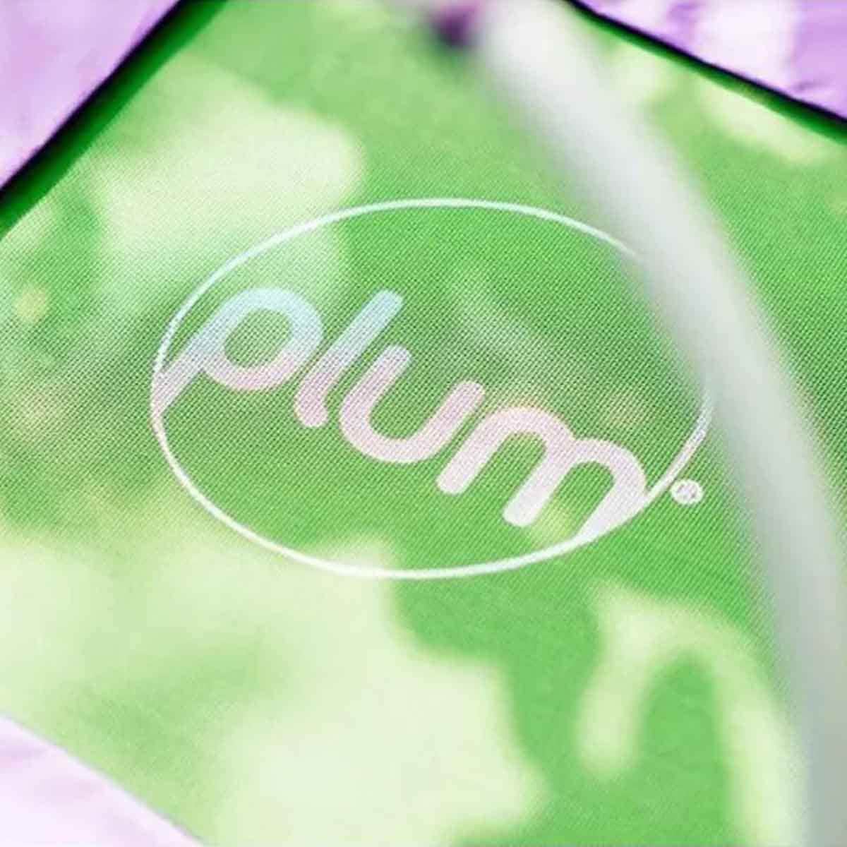 Plum Junior Bouncer Unisex, 3-4 Years
