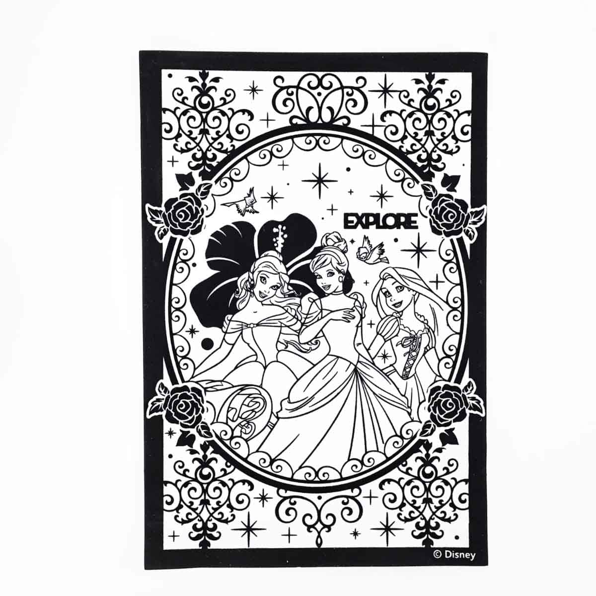 Disney Princess 10005-4 Grab & Go Play Pack Unisex, 3-4 Years