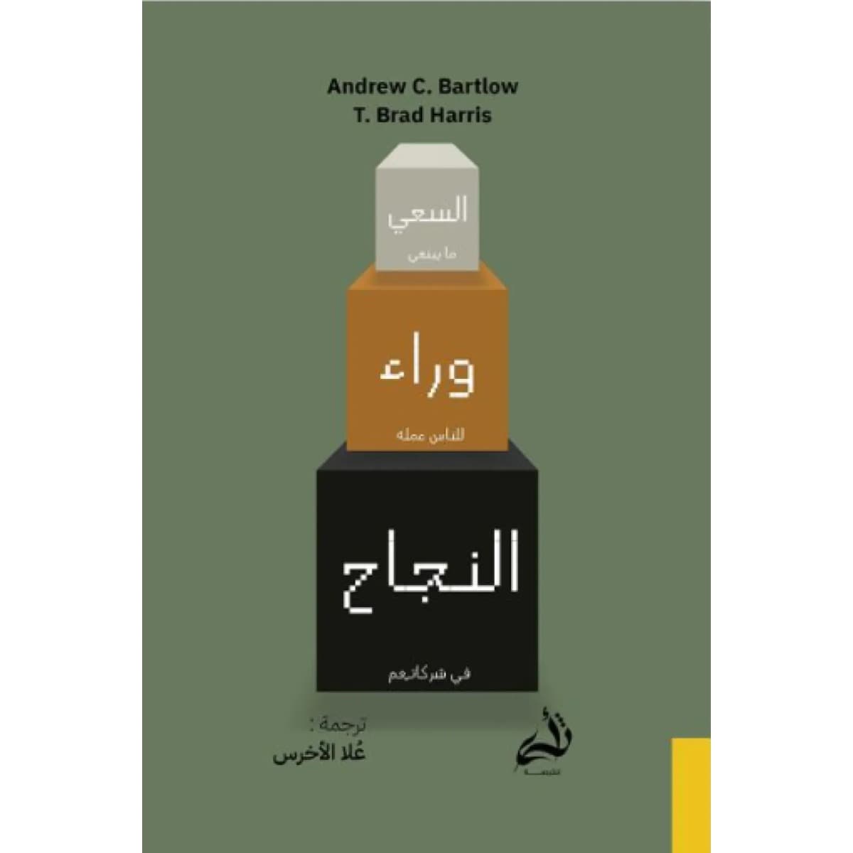 السعي وراء النجاح