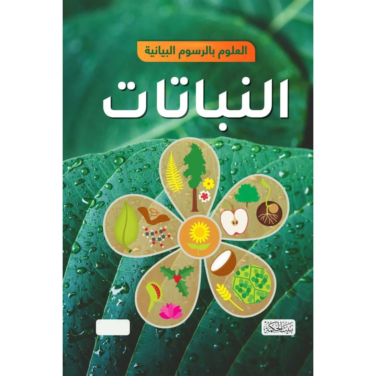 العلوم بالرسوم البيانية (النباتات)