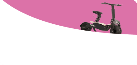 Electronic Ride on