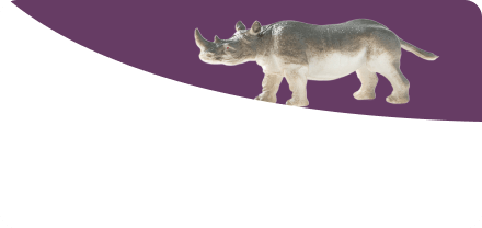 Animal Figures