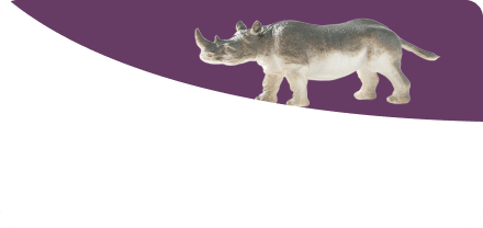 Animal Figures