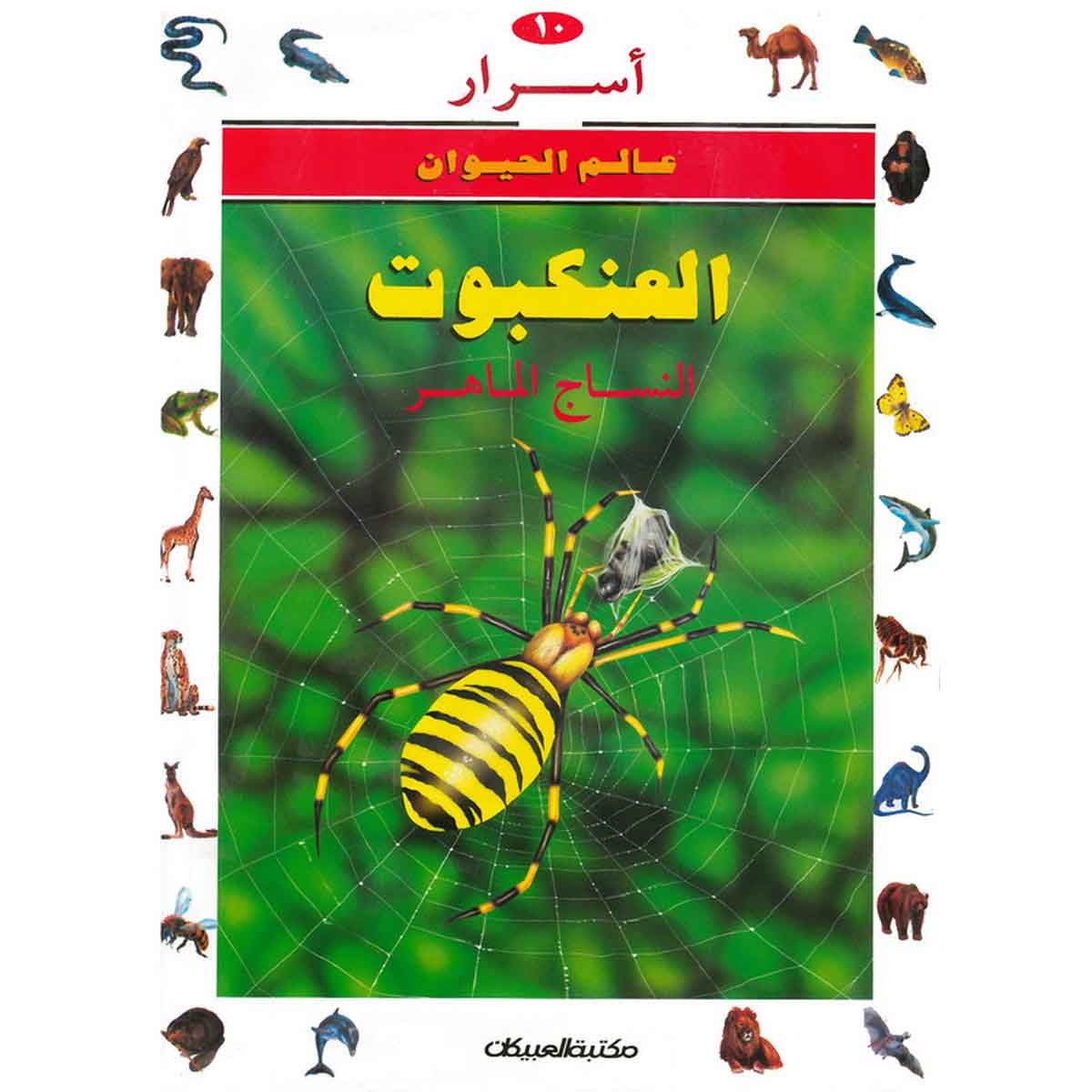 أسرار عالم الحيوان 10 العنكبوت