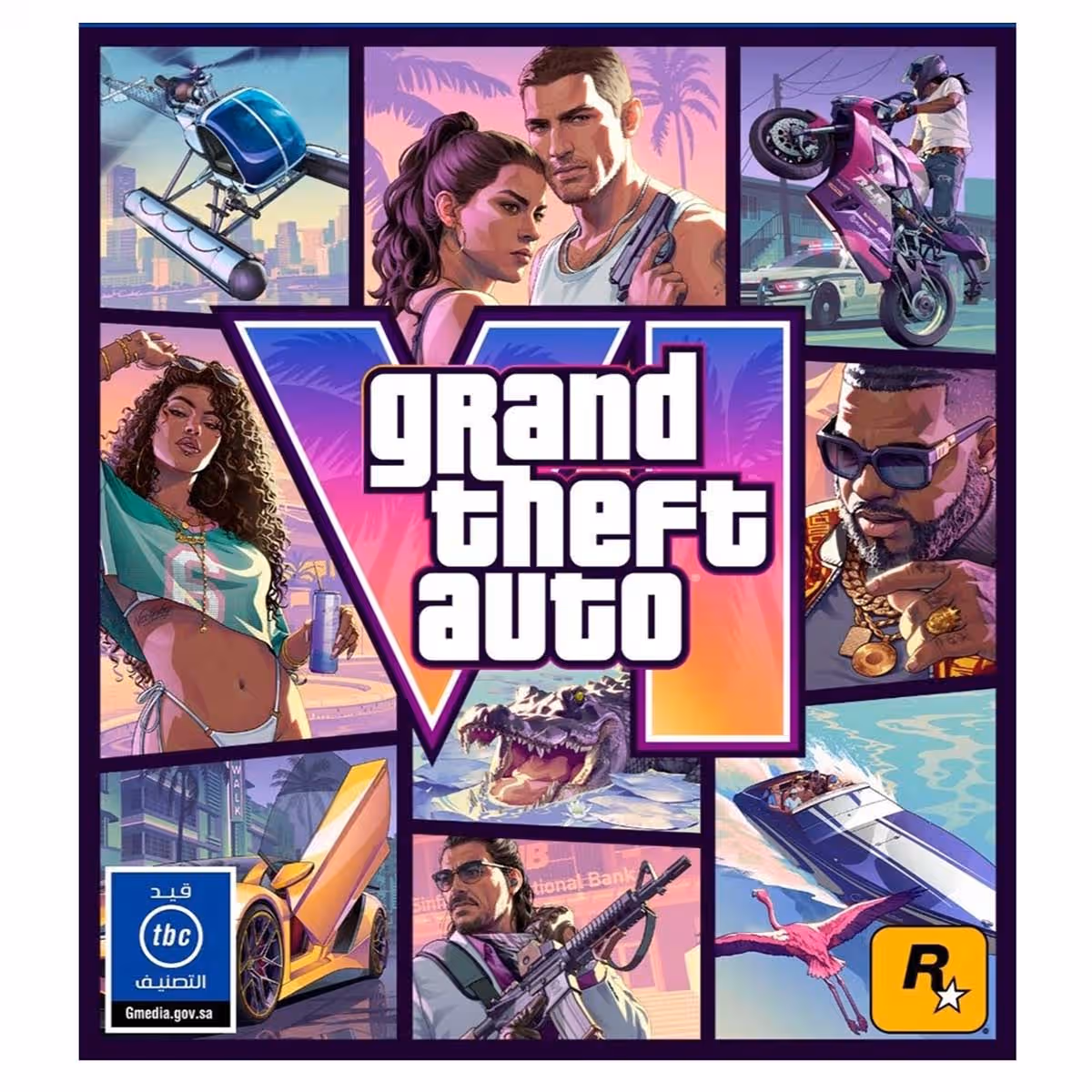 Rockstar Games Grand Theft Auto VI Video Game