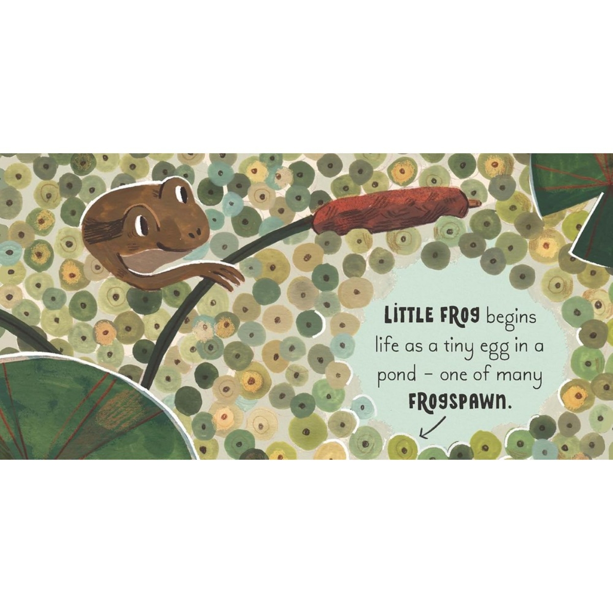5 Minute Nature Story Box : First Science Concepts For Growing Minds! by Gabby Dawnay - 25 Jun 2024