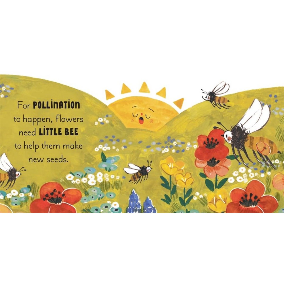 5 Minute Nature Story Box : First Science Concepts For Growing Minds! by Gabby Dawnay - 25 Jun 2024