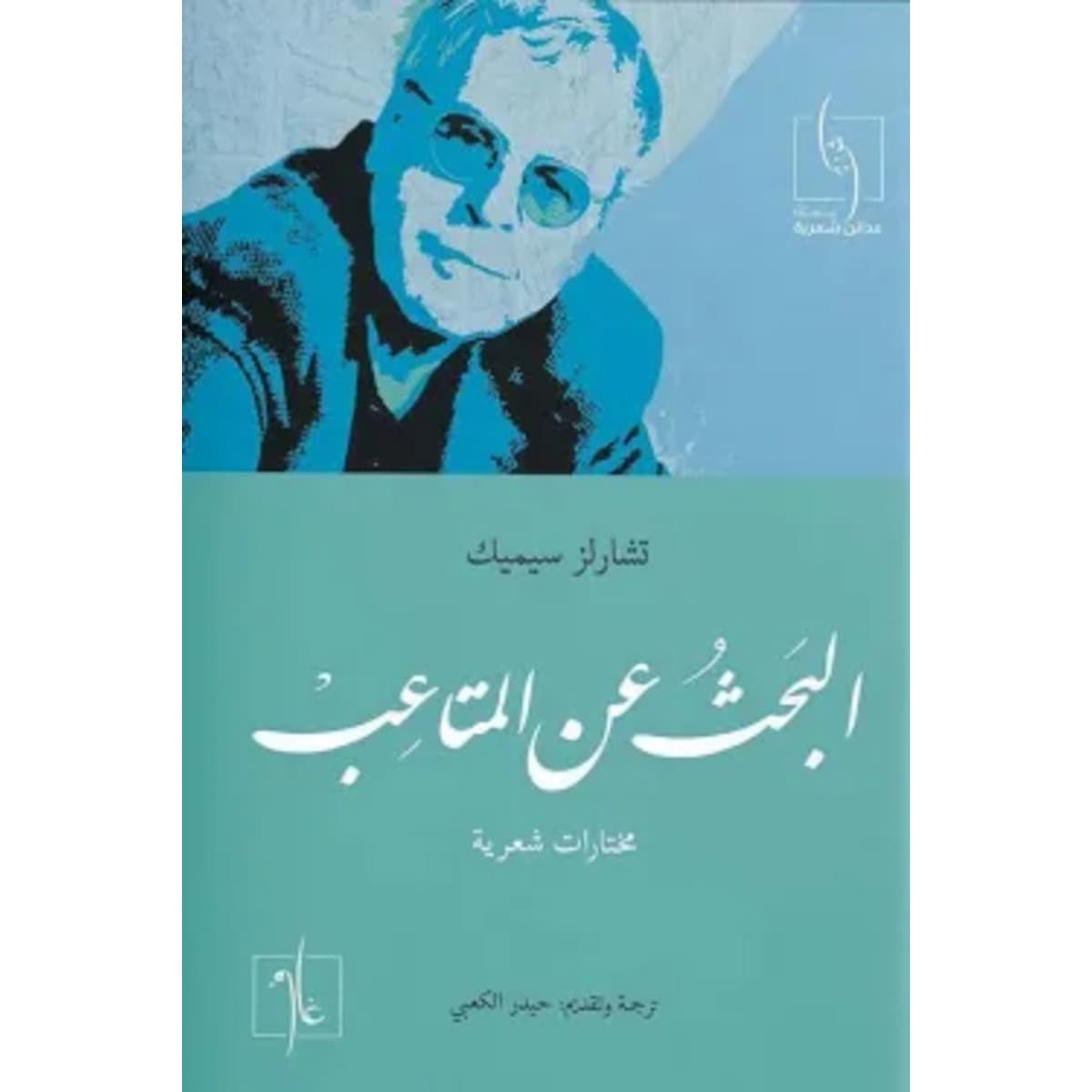 البحث عن المتاعب (مختارات شعرية)