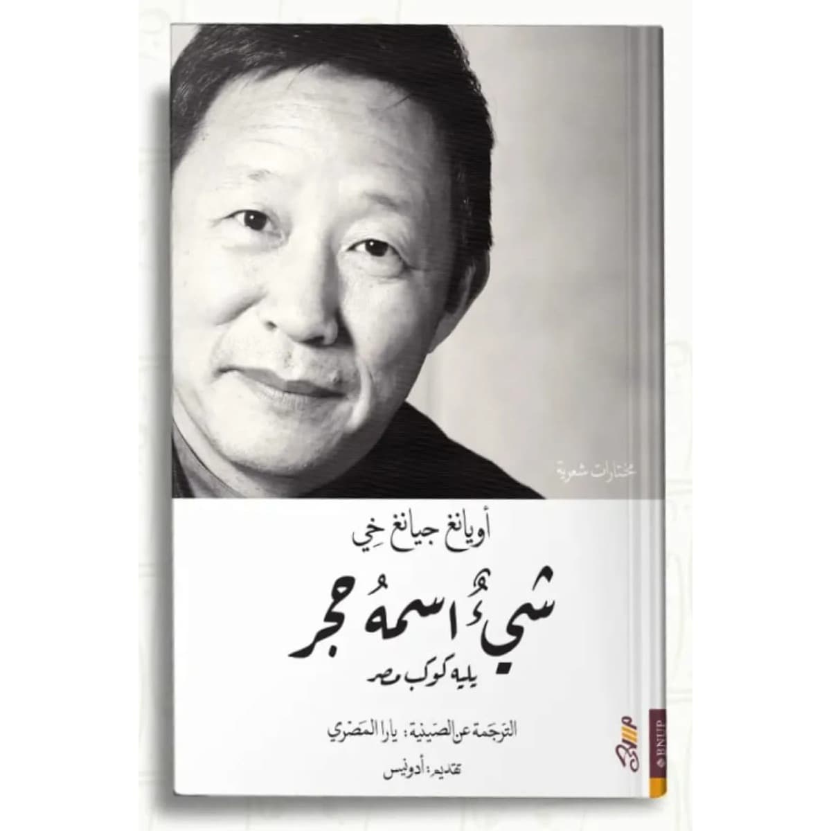 شيء اسمه حجر (يليه كوكب مصر)