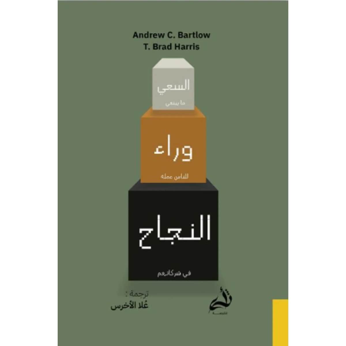 السعي وراء النجاح