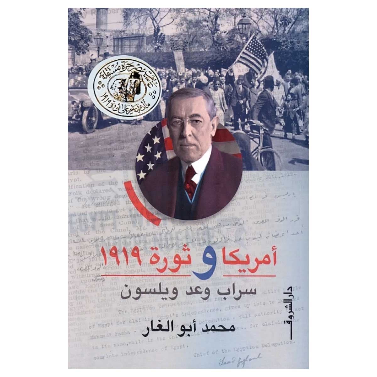 أمريكا وثورة 1919