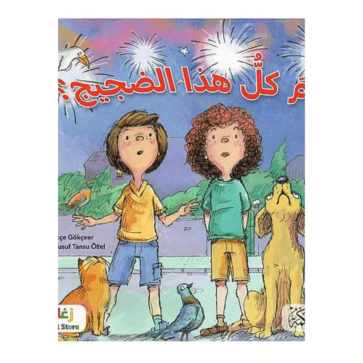لم كل هذا الضجيج