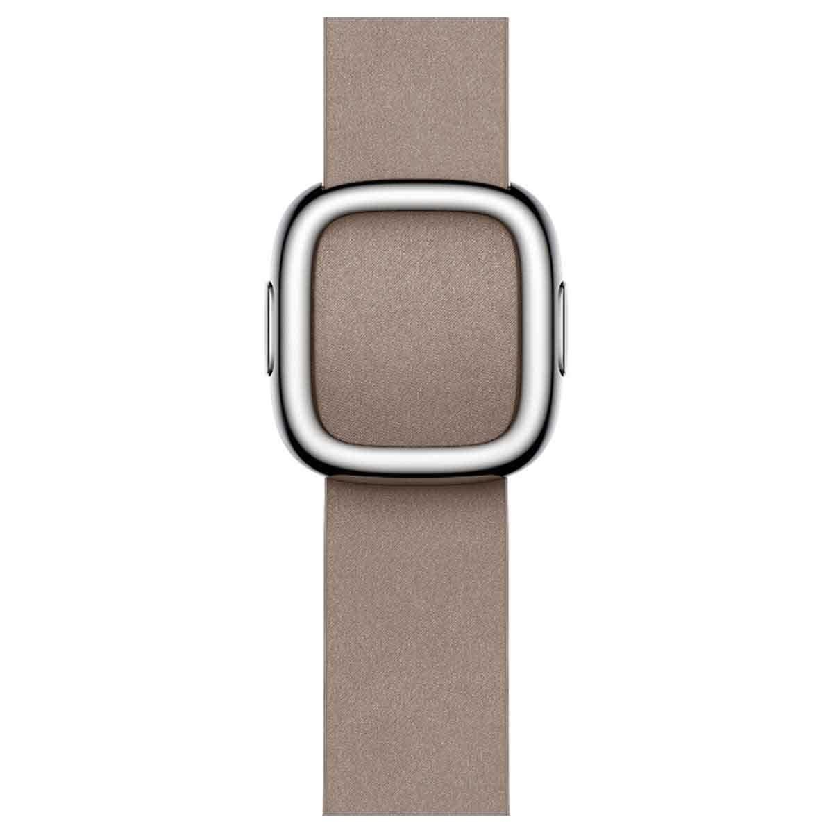 Apple Modern Buckle