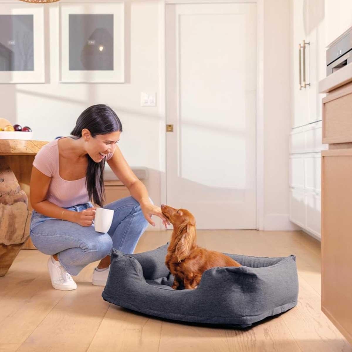 Intex Medium Travel Pet Bed with Hand Pump