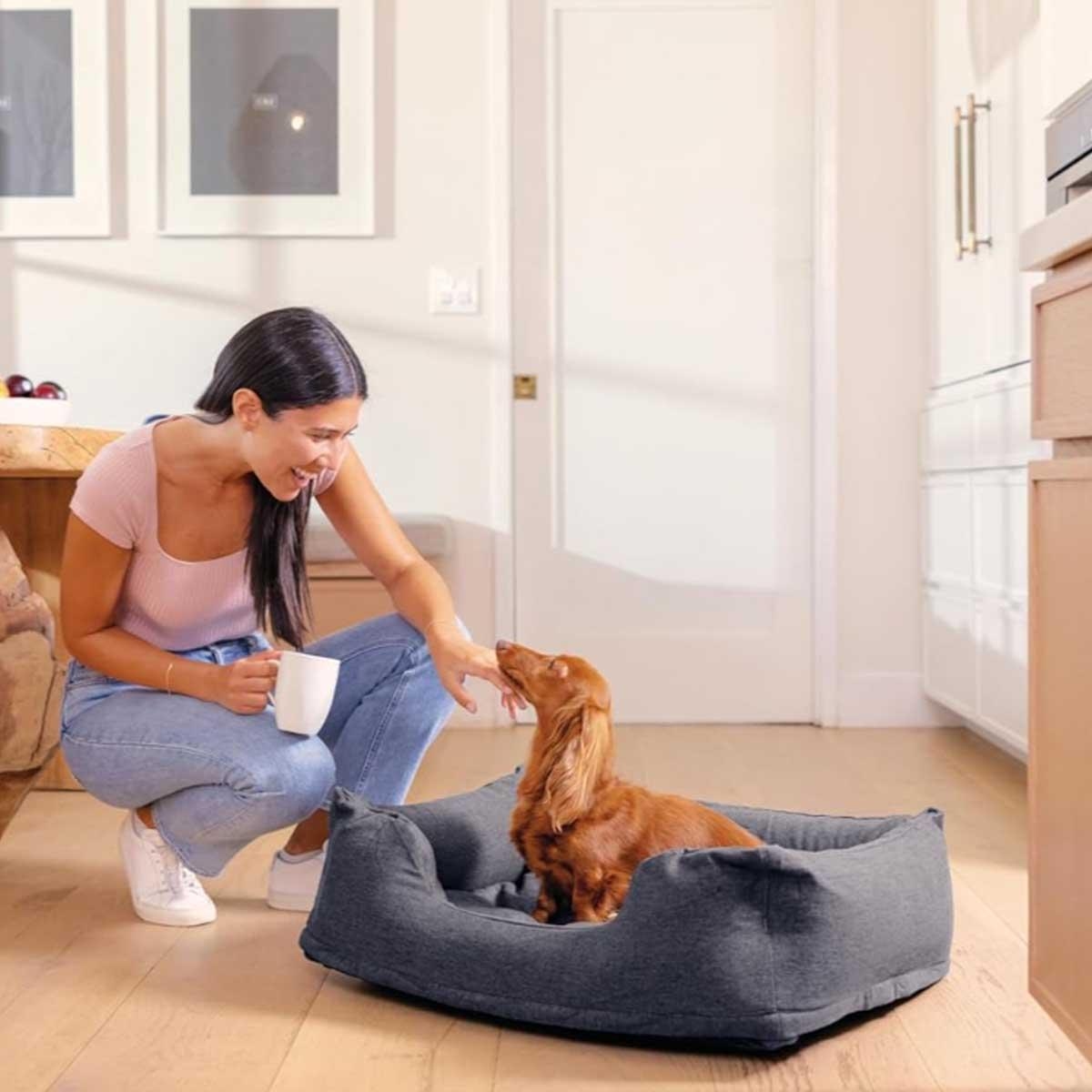 Intex Small Travel Pet Bed with Hand Pump