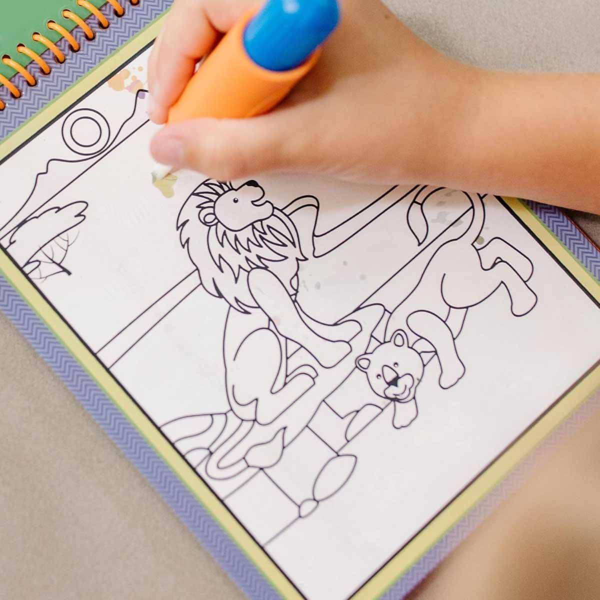 Melissa & Doug Safari On the Go Water Wow! Reusable Water-Reveal Activity Pad Unisex, 3-4 Years