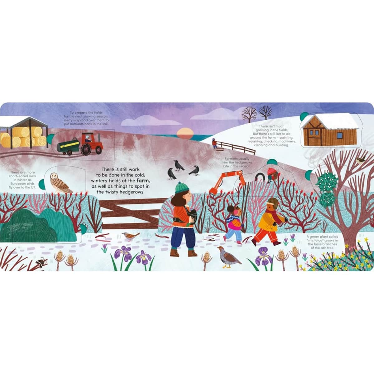 A Walk in Winter: ارفع الصفحات لتكشف أسرار الموسم من تأليف ليدي بيرد - 7 نوفمبر 2024