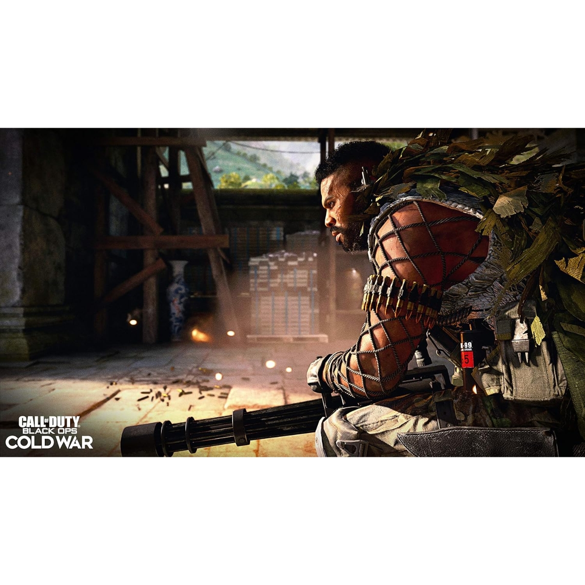 Activision Call of Duty Black Ops: Cold War Video Game for PlayStation 4