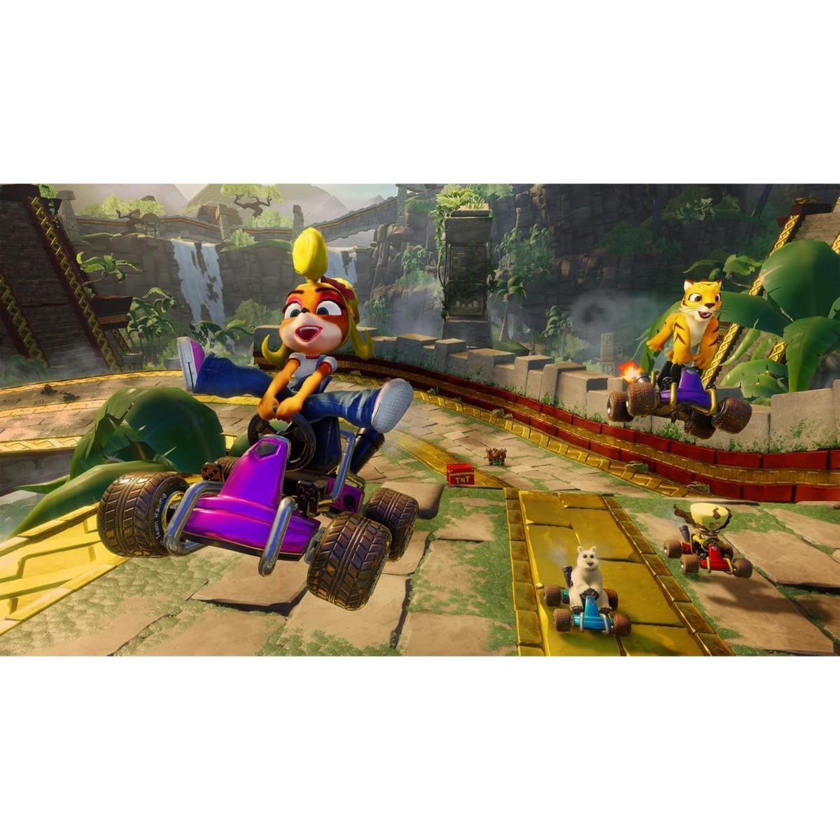 Activision Crash Team Racing: Nitro Fueled Video Game for PlayStation 4