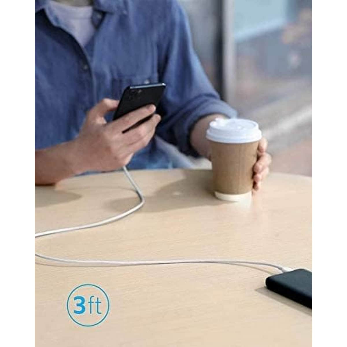 Anker 3ft PowerLine III USB-C to Lightning Cable