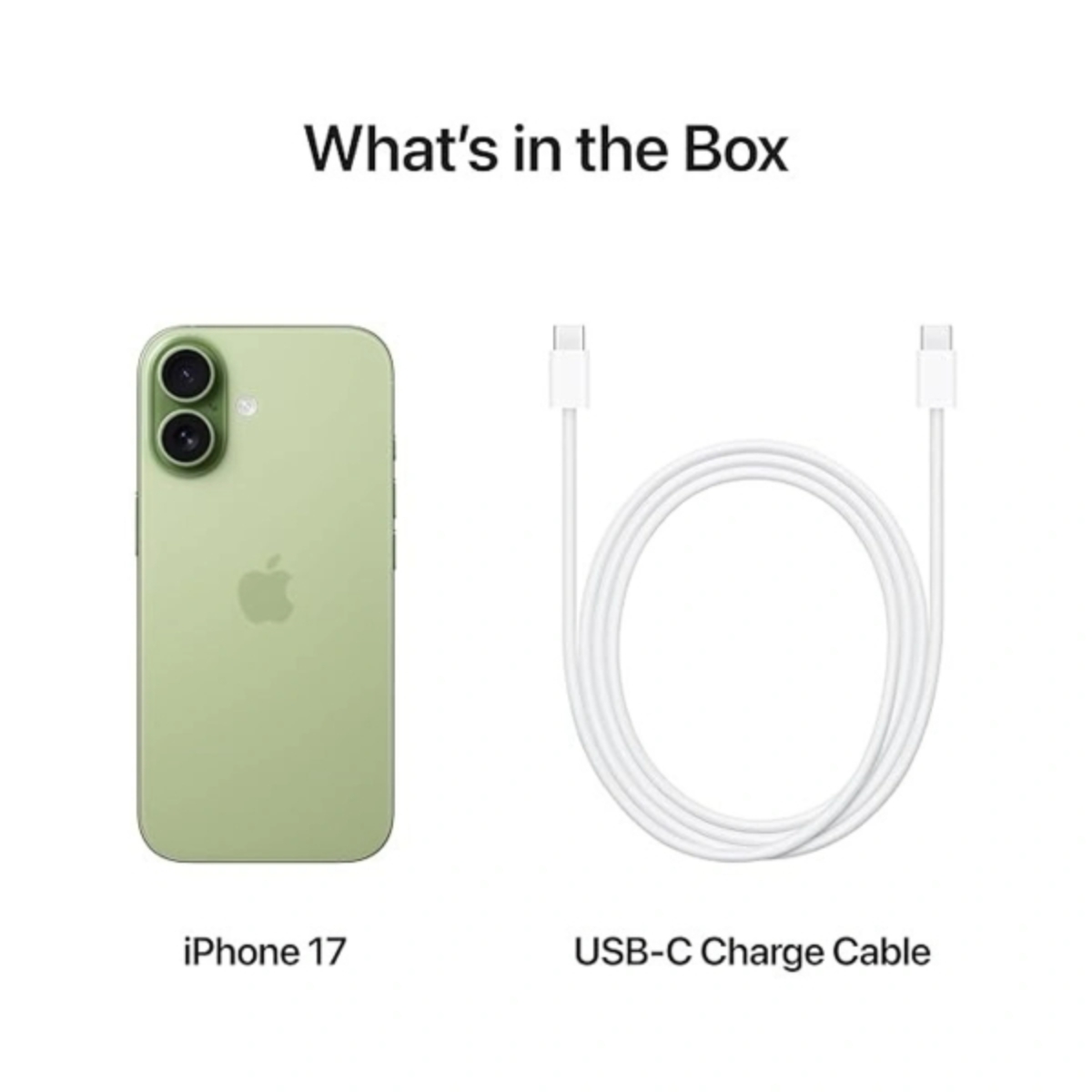 Apple iPhone 17 256GB (eSIM only), International Version - Sage