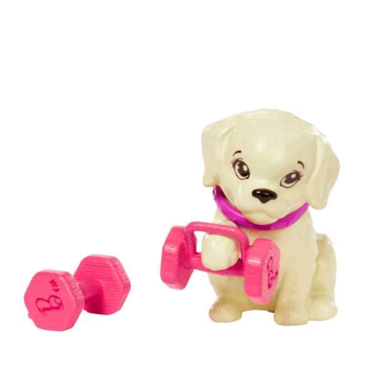 Barbie Wellness Workout Doll Girls, 3-4 Years