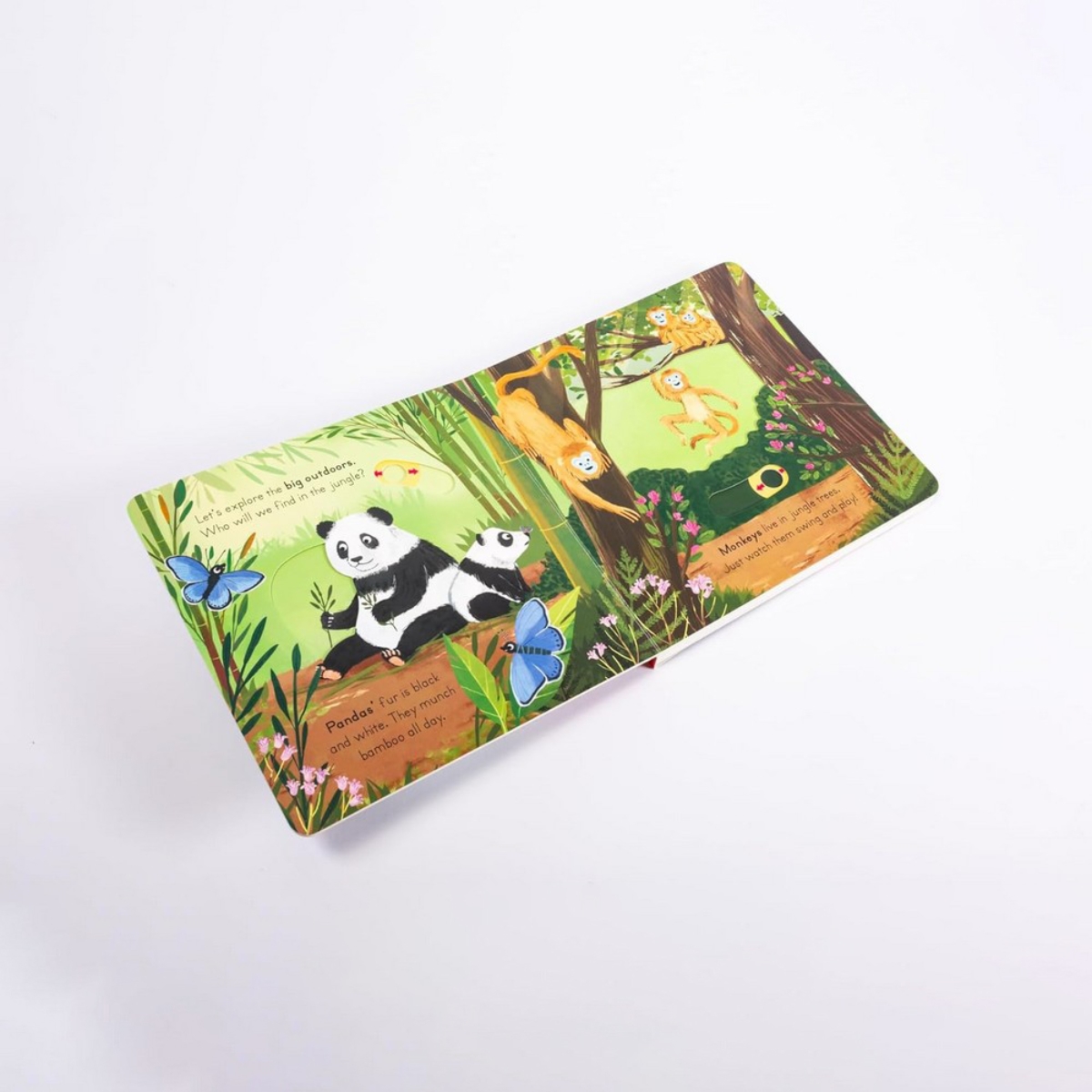 Big Outdoors for Little Explorers: Jungle تأليف آن-كاثرين بيل - 6 يونيو 2024