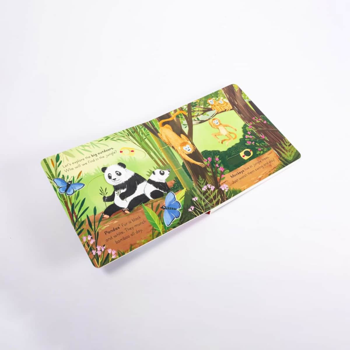 Big Outdoors for Little Explorers: Jungle تأليف آن-كاثرين بيل - 6 يونيو 2024