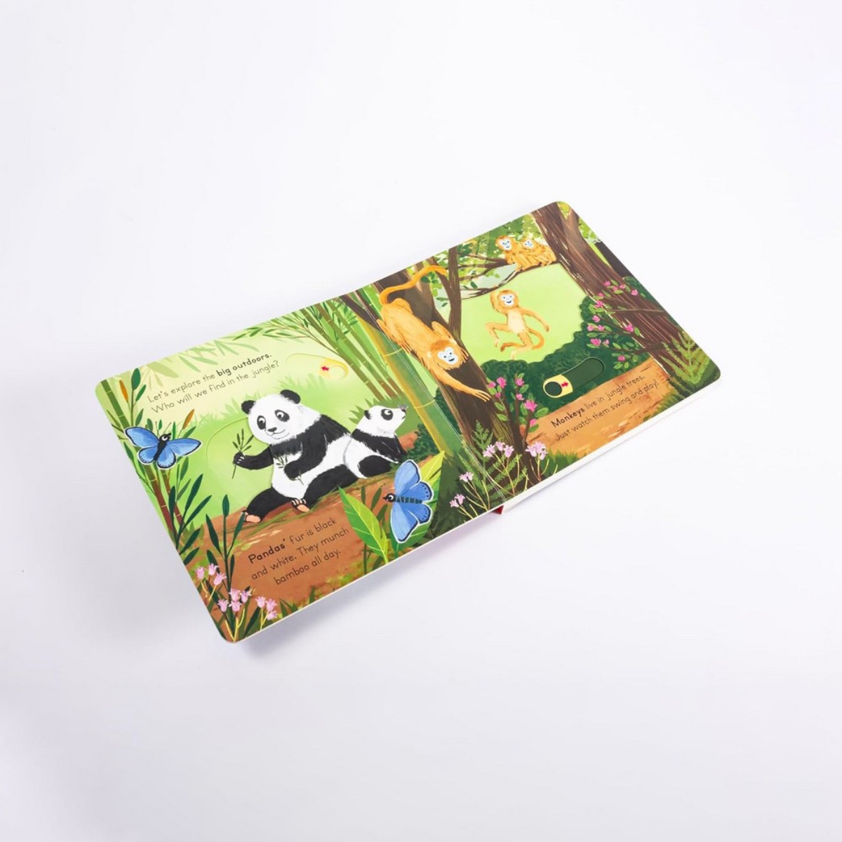 Big Outdoors for Little Explorers: Jungle تأليف آن-كاثرين بيل - 6 يونيو 2024
