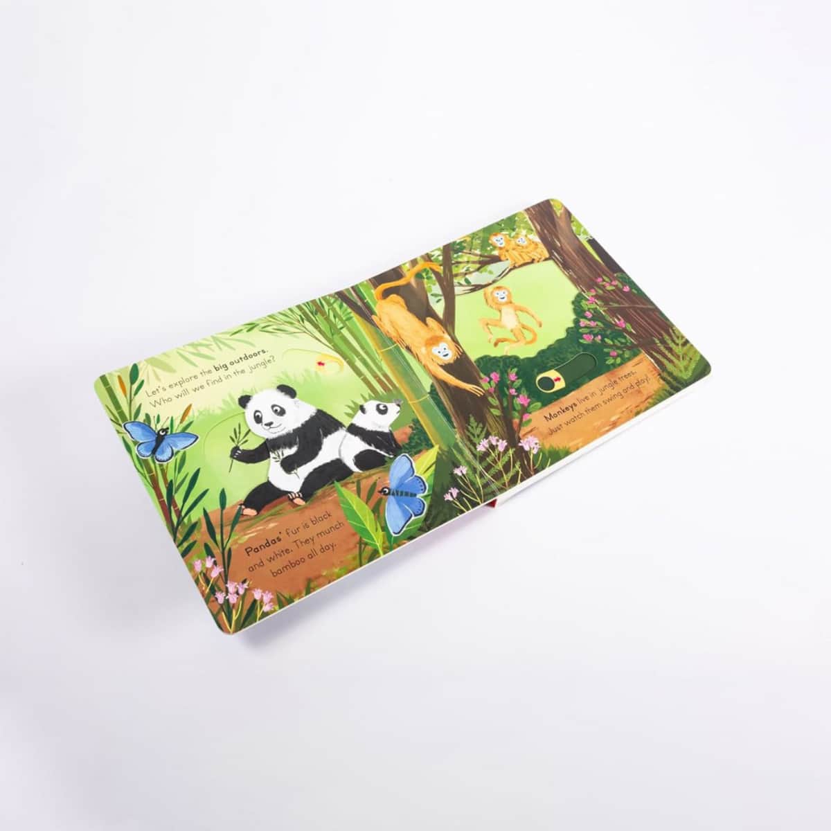 Big Outdoors for Little Explorers: Jungle تأليف آن-كاثرين بيل - 6 يونيو 2024