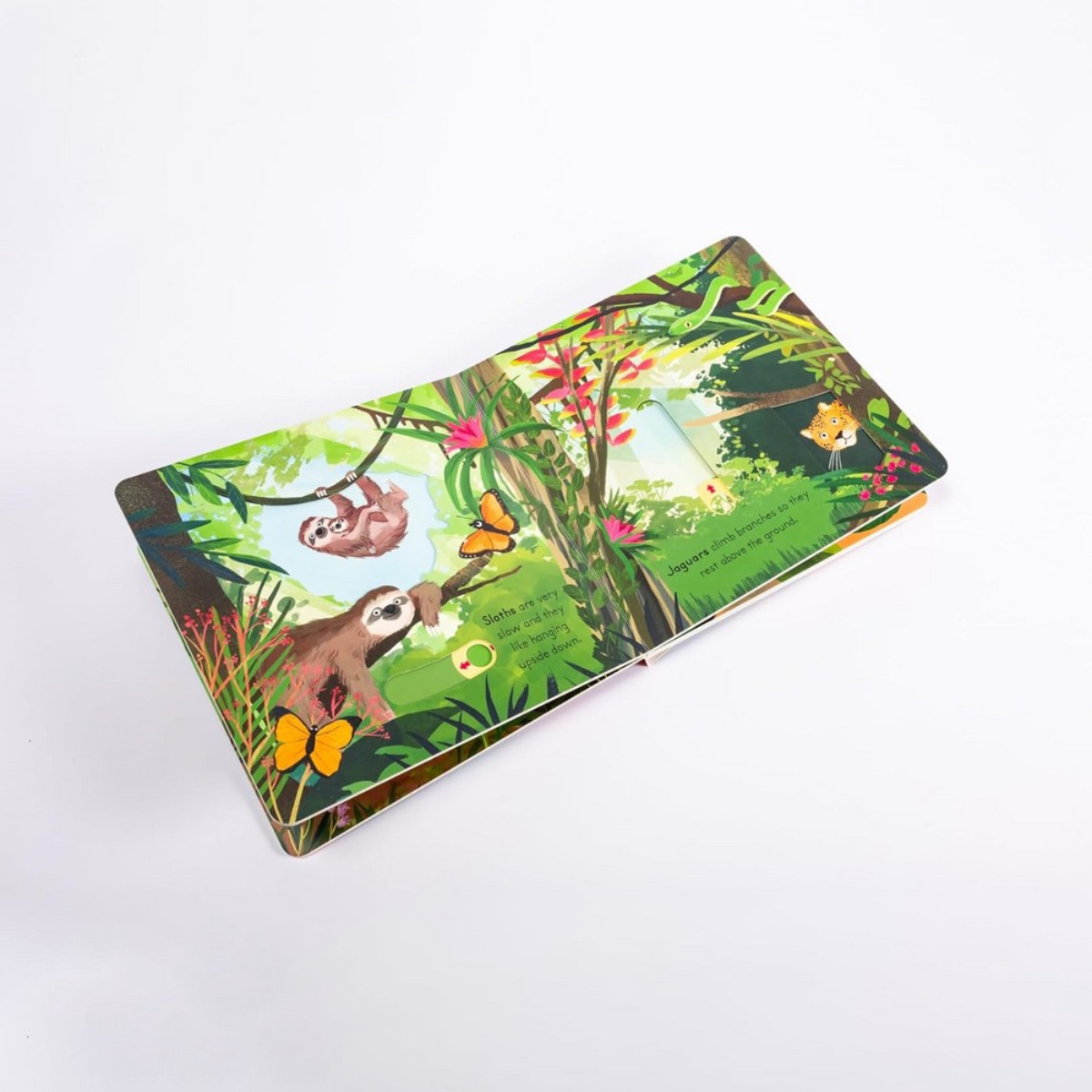 Big Outdoors for Little Explorers: Jungle تأليف آن-كاثرين بيل - 6 يونيو 2024