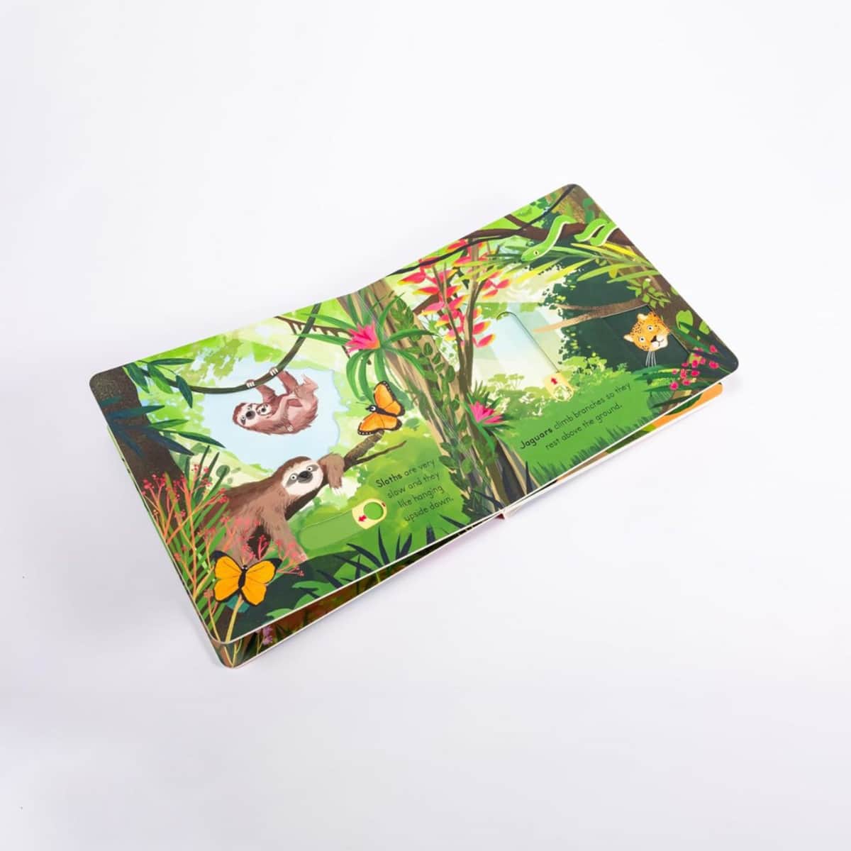 Big Outdoors for Little Explorers: Jungle تأليف آن-كاثرين بيل - 6 يونيو 2024