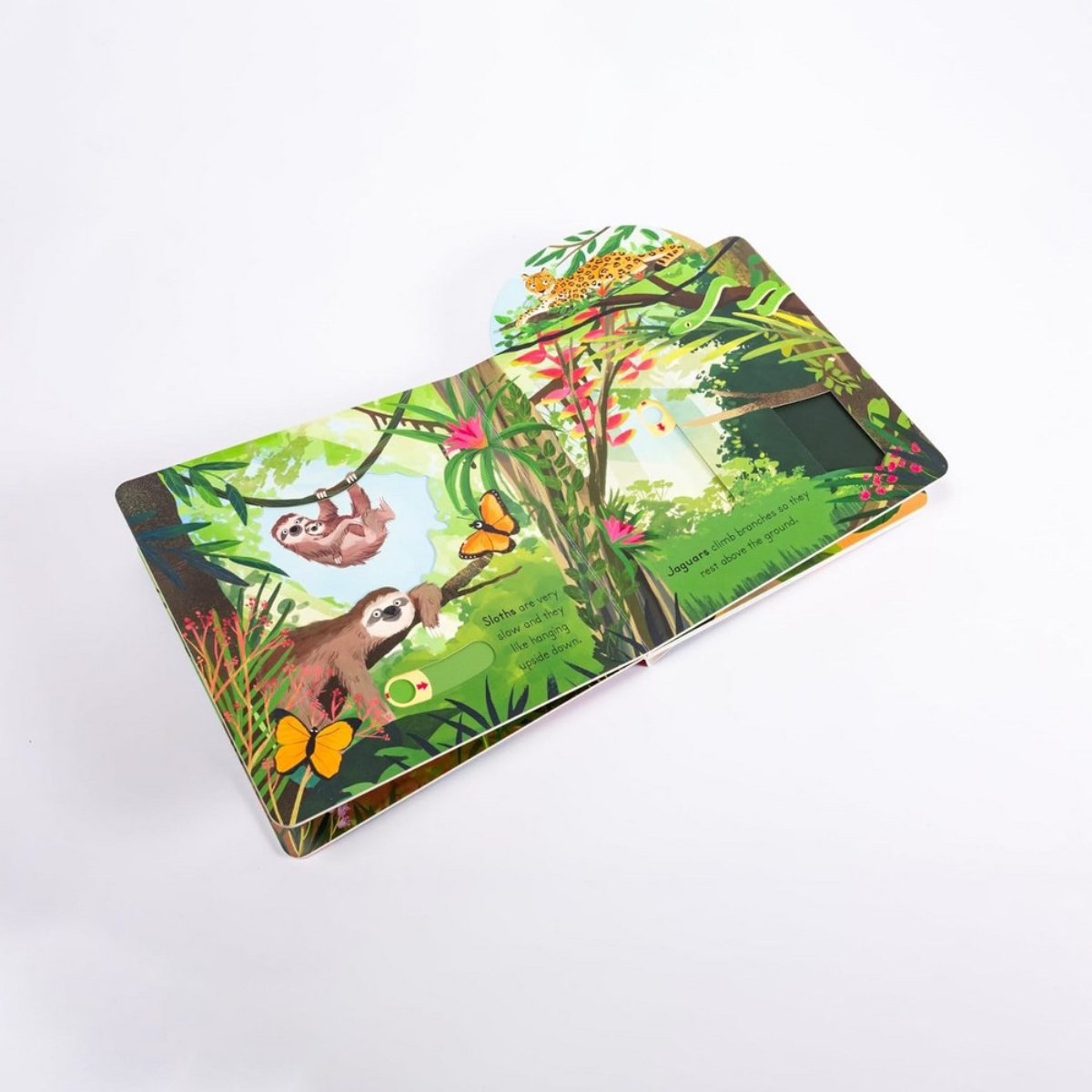 Big Outdoors for Little Explorers: Jungle تأليف آن-كاثرين بيل - 6 يونيو 2024
