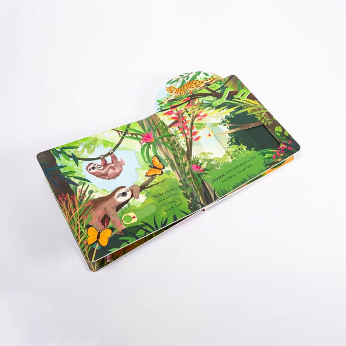 Big Outdoors for Little Explorers: Jungle تأليف آن-كاثرين بيل - 6 يونيو 2024