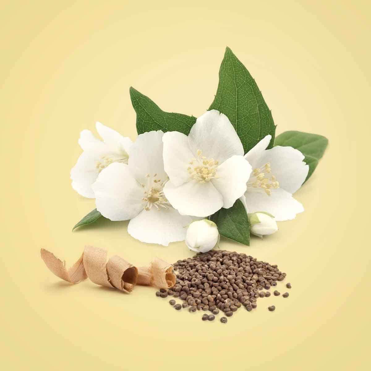 كالفن كلاين بيوتي أو دو برفيوم نسائي